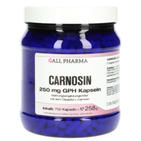 CARNOSIN 250 mg GPH Kapseln