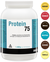 PROTEIN 75 Vanille Pulver