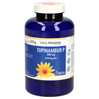 TOPINAMBUR P 400 mg GPH Kapseln