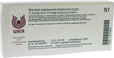 GLANDULA SUPRARENALIS sinistra cum Cupro Ampullen