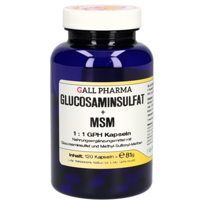 GLUCOSAMINSULFAT+MSM 1:1 GPH Kapseln