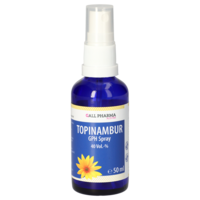TOPINAMBUR GPH Spray