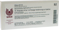 UTERUS GL D 5 Ampullen