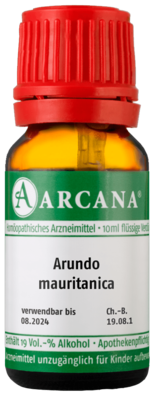 ARUNDO mauritanica LM 18 Dilution