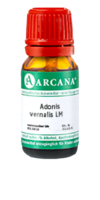ADONIS VERNALIS LM 100 Dilution