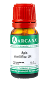 APIS MELLIFICA LM 3 Dilution