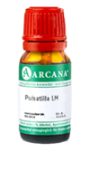 PULSATILLA LM 14 Dilution