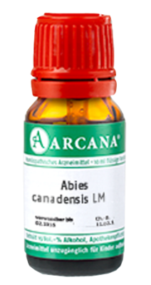 ABIES CANADENSIS LM 45 Dilution