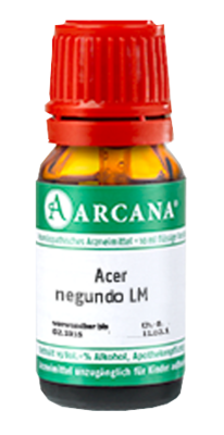 ACER negundo LM 2 Dilution