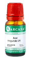 ACER negundo LM 9 Dilution