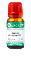 AGARICUS PHALLOIDES LM 90 Dilution