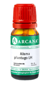 ALISMA plantago LM 3 Dilution