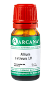 ALLIUM SATIVUM LM 14 Dilution