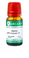 ALPINIA OFFICINARUM LM 22 Dilution