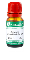 AMBROSIA ARTEMISIAEFOLIA LM 8 Dilution