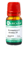 AMMONIACUM dorema LM 7 Dilution