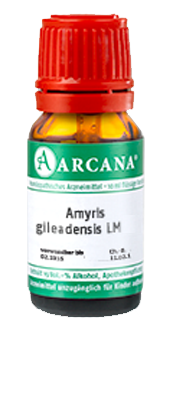 AMYRIS gileadensis LM 75 Dilution