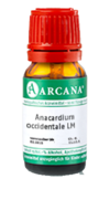 ANACARDIUM OCCIDENTALE LM 8 Dilution