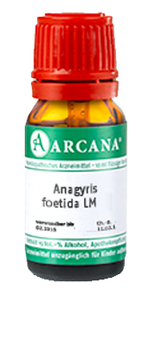 ANAGYRIS foetida LM 3 Dilution