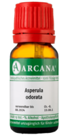 ASPERULA ODORATA LM 6 Dilution