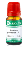 ANETHUM graveolens LM 2 Dilution