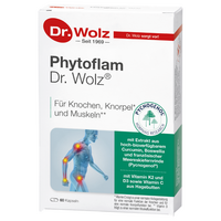 PHYTOFLAM Dr.Wolz Kapseln