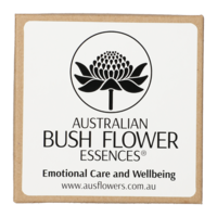 ADULT E Pendant light purple glass