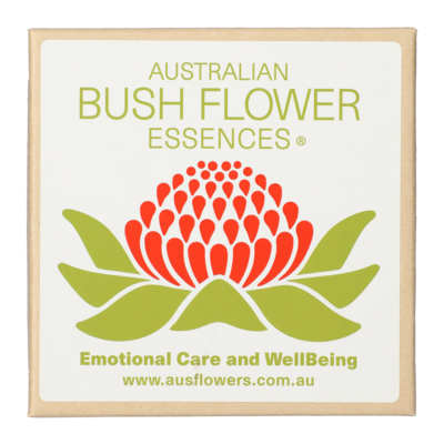 PETITE Pendant light purple glass