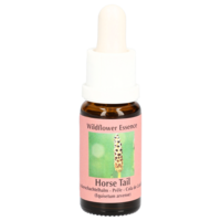 ACKERSCHACHTELHALM Essenz Tropfen