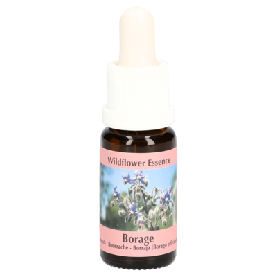 BORRETSCH ESSENZ Tropfen