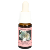 BROMBEERE Essenz Tropfen