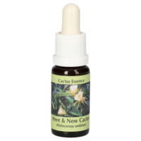 HERE & Now Cactus Essenz Tropfen