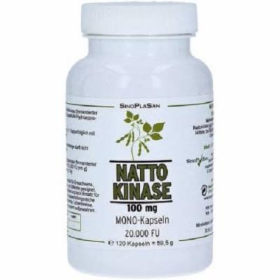 NATTOKINASE 100 mg Mono 20.000 FU Kapseln